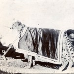 Jagdchita - Indien