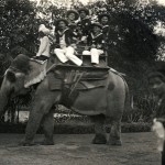 Elefantenritt, Bombay