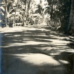 Landstrasse auf Ceylon