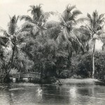 Victoria Park in Bombay