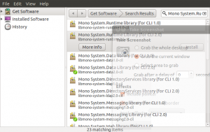 Adding Mono System.Runtime Support